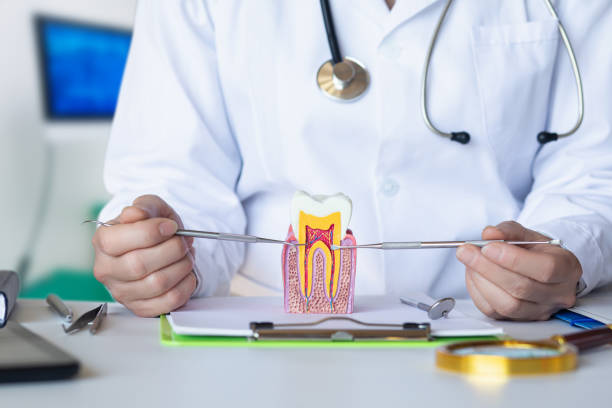 Best Emergency Dentist for Lost Fillings or Crowns in St George, SC